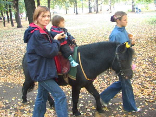 Данилушка на пони